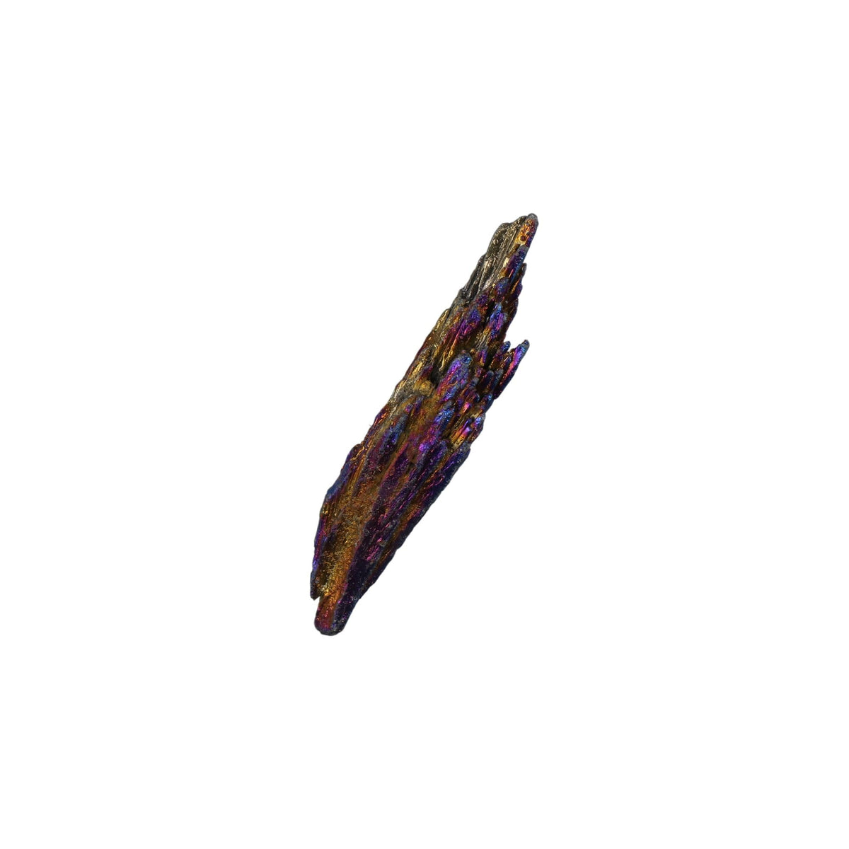 zaoalife Natural Healing Reiki Tourmaline Raw Stone Black Tourmaline Feather Rough Energy Mineral Reiki Healing Stone Real Trilobite for Collections