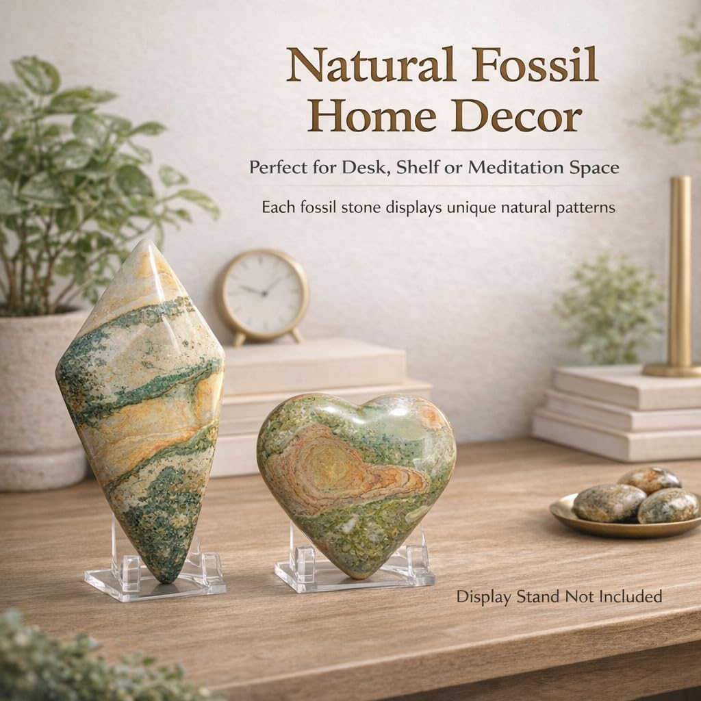 Crystal Healing Nature stromatolite Fossil Gemstone, 1.8 Billion Year Old Natural Algae Ancient Stone, Teardrop-Shaped Stromatolite Fossil for Zen Decor and Stress Relief Gift.