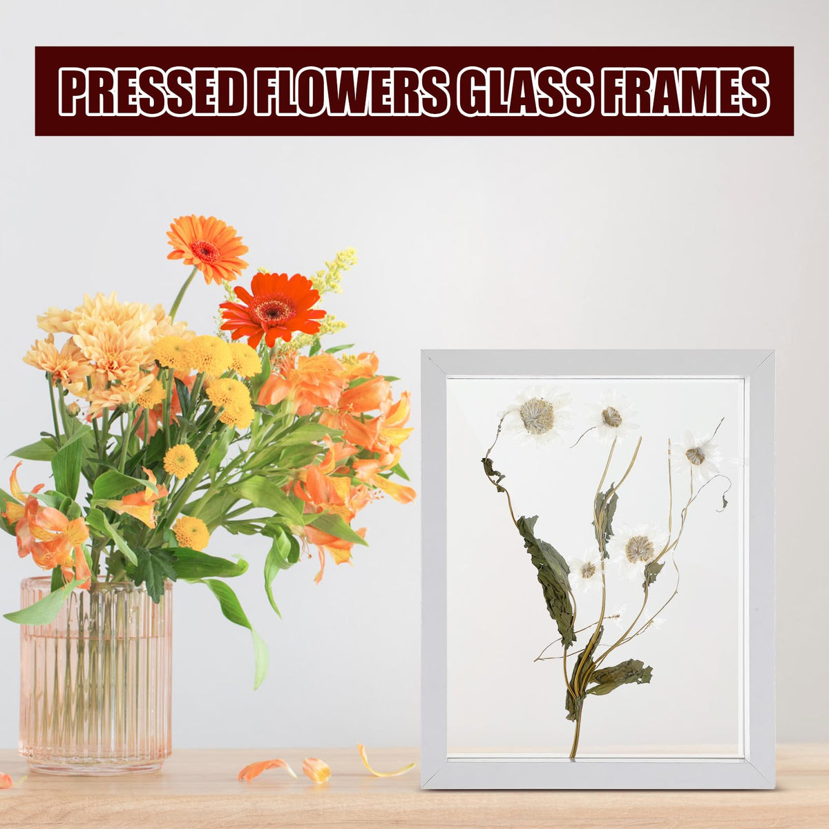 Fiwochic 4 Pack Pressed Flower Floating Picture Frames, 10, 8, 6, 5 Inch White Wooden Double Glass Pressed Flower Frames Wall Tabletop Display for Dried Flowers, Photos, Art, Birthday, Wedding Gift