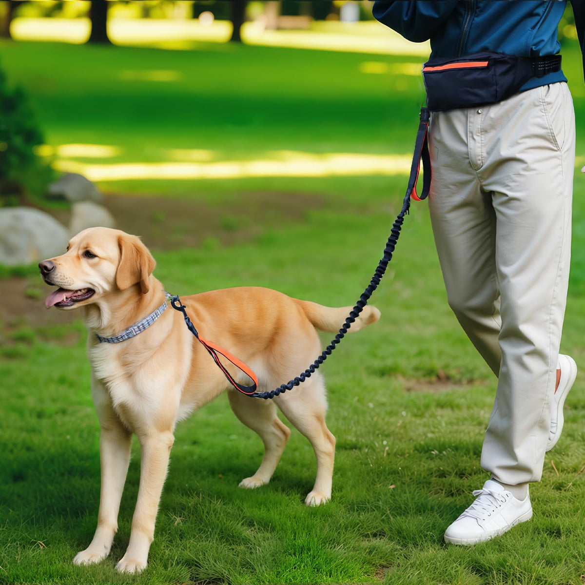 Amazon Basics Hands Free Dog Leash with Running Bag, Adjustable Waist Belt, Dual Padded Handles, Reflective Bungee Leash for Walking, Jogging, Hiking, Fits Small to Large Dogs (Up to 150 lbs)