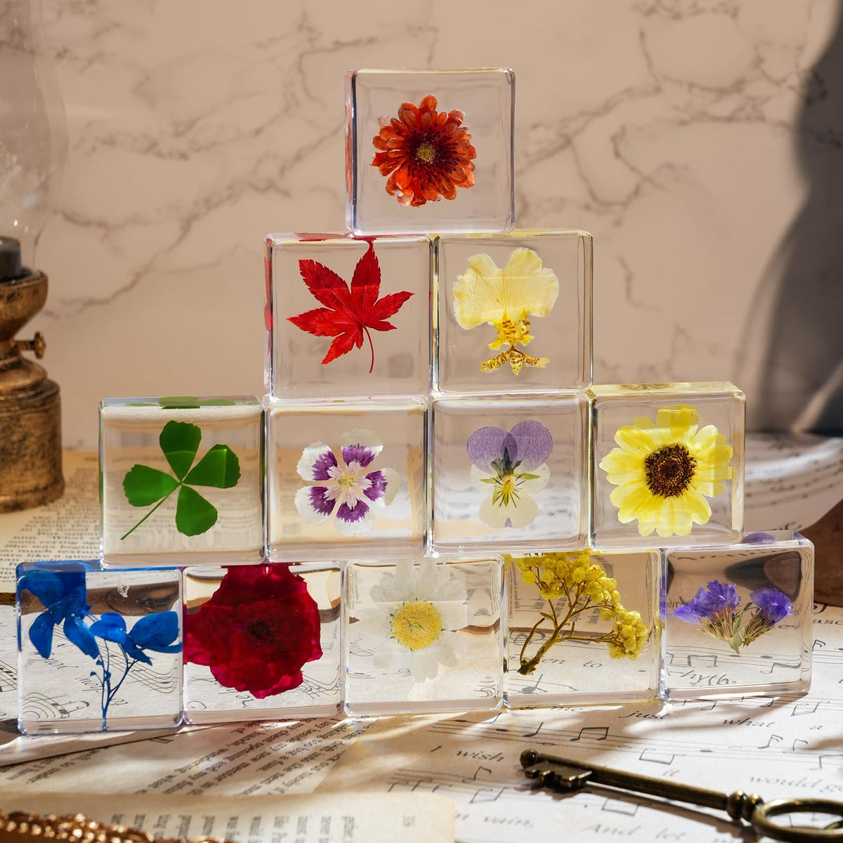 12 Pcs Flower Paperweight, Real Flower Specimen Pressed Flowers in Resin, Botanical Paperweights for Desk Decor, Science Education & Unique Display Supplies (12 Pcs Flower Set 3)