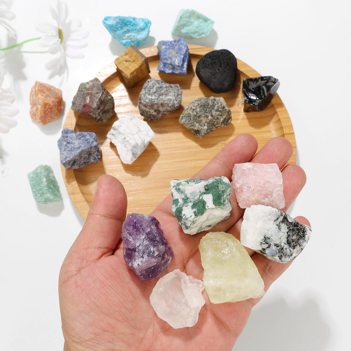 GolbalJew Bloodstone Natural Raw Crystals 2PCS Healing Crystal Stones 1.2-2.0” Reiki Healing Gemstones for Meditation Chakra Balance Home Decor