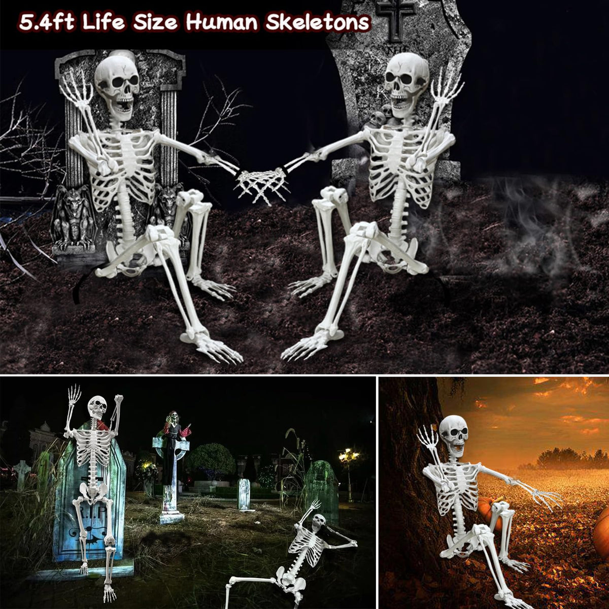 Lodou 5.4Ft Posable Life Size Human Adult Skeletons Plastic Human Bones with Movable Joints for Halloween Decoration