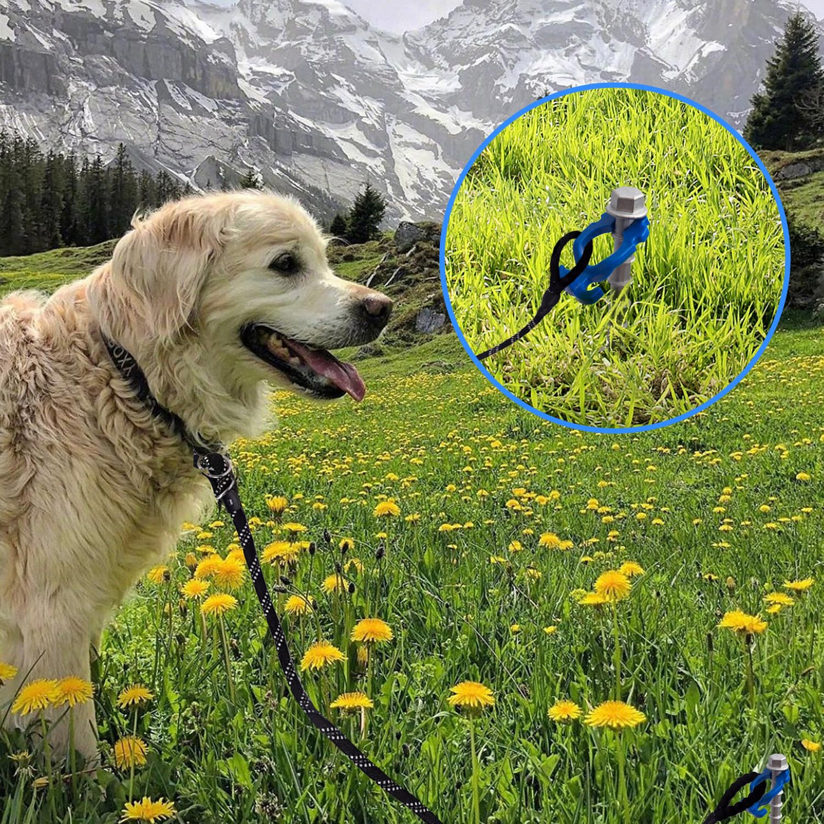 Homeon Wheels 12 Pcs Camping Ground Anchors Aluminum Screw Heavy Duty Metal Non-Rust Cast Tent Anchors in Kit for Securing Animals, Tents, Canopies, Sheds, Car Ports, Swing Sets Outdoors Beach