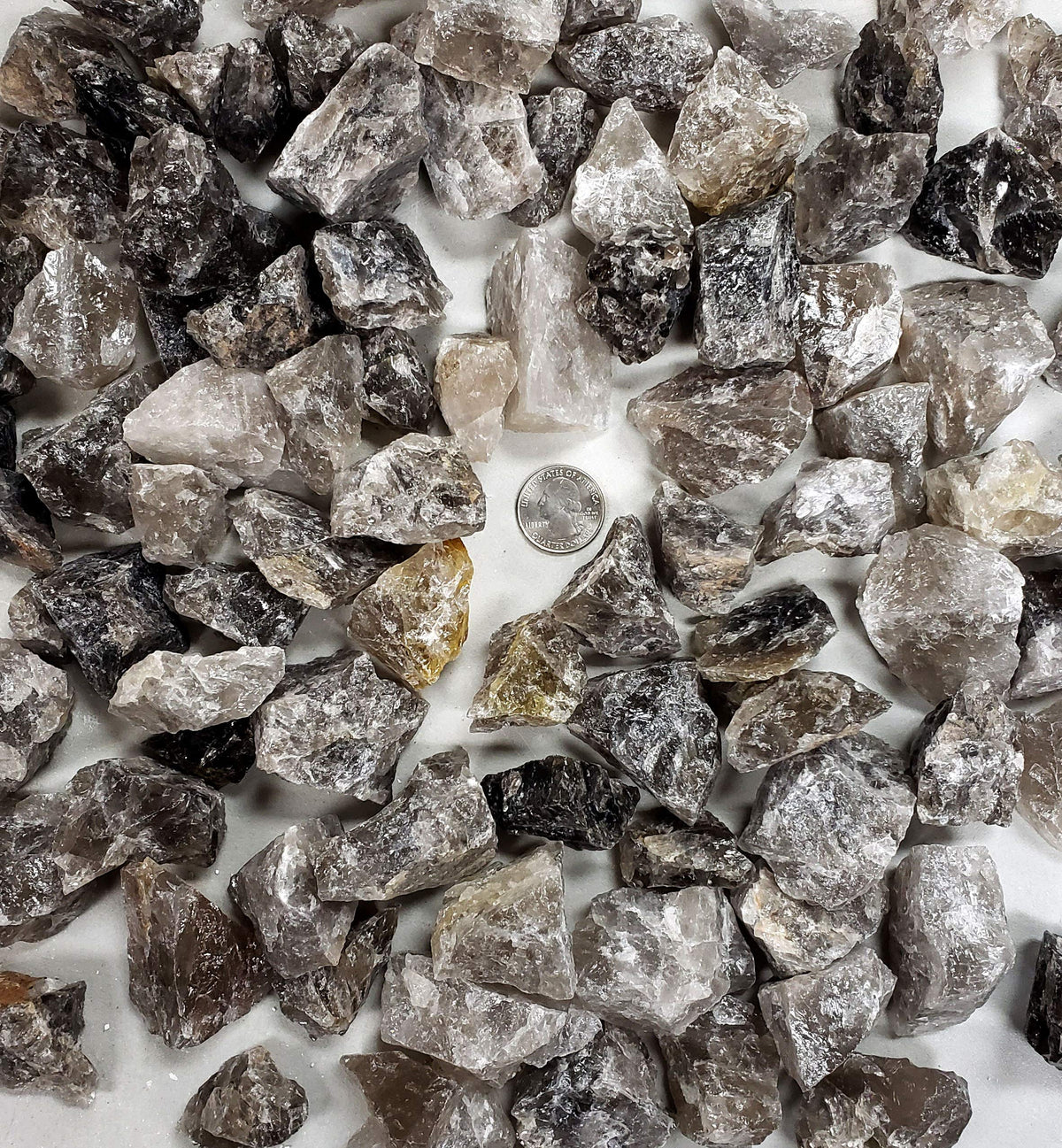 MINERALUNIVERSE 1/2 LB Smoky Quartz Rough Stones - Bulk Smoky Quartz Crystal - Raw Natural Stones & Crystals - Fountain Rocks for Cabbing, Polishing, Wire Wrapping, Reiki, Chakra Crystal Healing