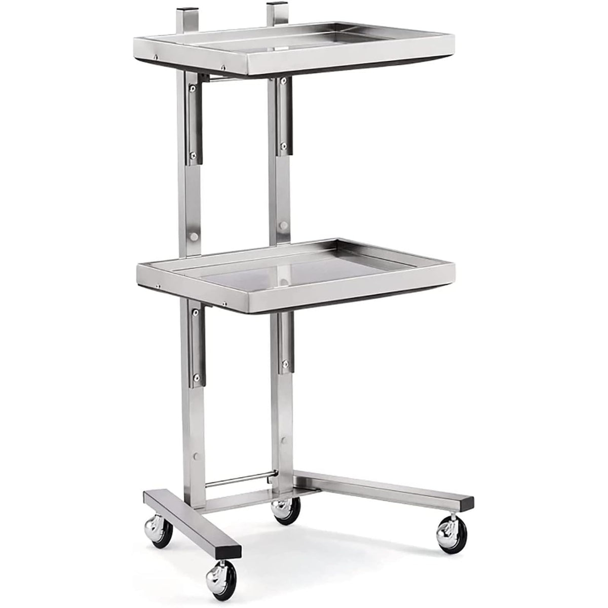 ZGFUSVFD 2-Tier Metal Rolling Cart, Stainless Steel Salon Storage Stand with Wheels Trolley Tray Storage Cart Kitchen Storage Trolley Utility for Bedroom Tattoo Shop, Silver