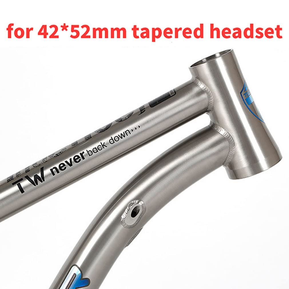 HIMALO Bike Frame 27.5/29er Mountain Bike Frame 15.5''/17''/19'' Lightweight Titanium Alloy Rigid Frame Disc Brake Thru Axle 12x142mm XC AM(29 * 17'')