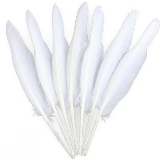 Bulk 28 pcs Natural White Goose Feathers,Long 10-12 inch (25-30cm) for Pen DIY Crafts,Wedding Centerpieces,Angel Wings,Parties (White)