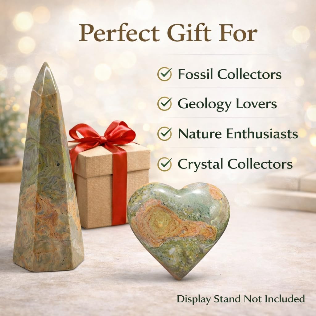 Crystal Healing Nature stromatolite Fossil Gemstone, 1.8 Billion Year Old Natural Algae Ancient Stone, Teardrop-Shaped Stromatolite Fossil for Zen Decor and Stress Relief Gift.
