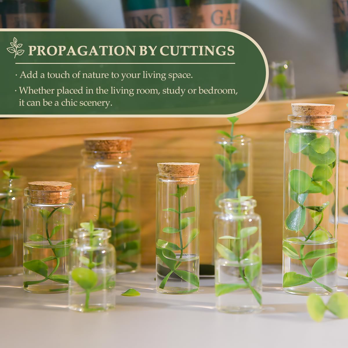 15-Pack 1.35 oz (40 ml) Glass Bottles & Test Tubes with Cork Stoppers – for Spell Jars, Spice Storage, DIY Favors, Travel Memories, Plant Propagation – Empty Recyclable Containers for Crafts, Kitchen