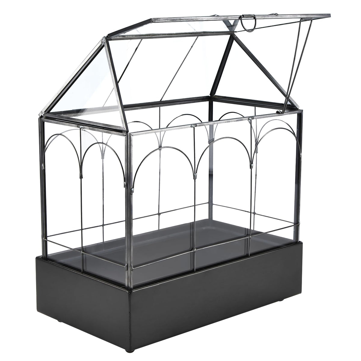 HighFree Glass Terrarium with Metal Tray, Glass Greenhouse Terrarium Kit for Succulents, Cacti, Snails, Spiders, and Miniature Reptiles, Black (Large-9.45" L x 5.7" W x 11.8" H)