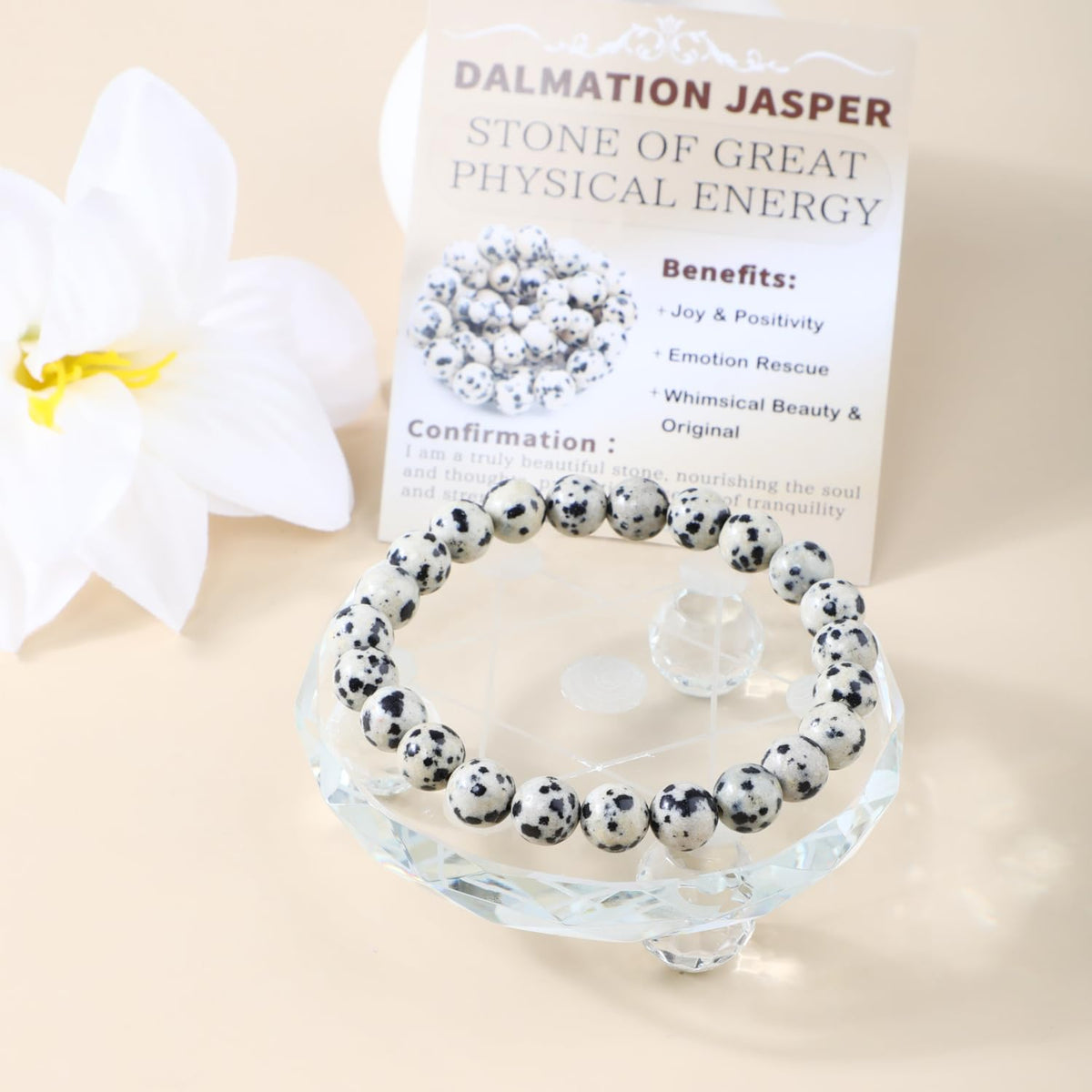 Bymitel 8mm Dalmation Jasper - Handmade Reiki Gemstone Stretch Bracelet, Natural Beauty & Spiritual Essence, Crystal Healing for Unisex Adults
