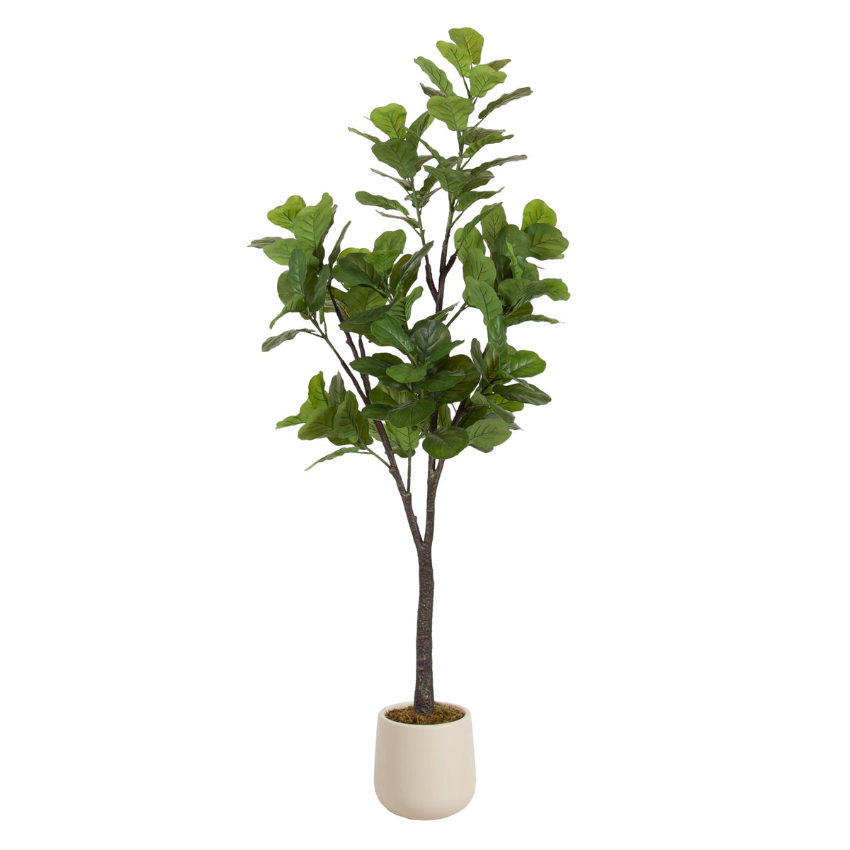 Kate and Laurel Fidmont Faux Fiddle Fig Tree with Jia Curved Planter Pot, 6 FT, Cream, Potted Artificial Tree Indoor with Realistic Foliage and Added Moss, Fake Plant for Living Room Decor