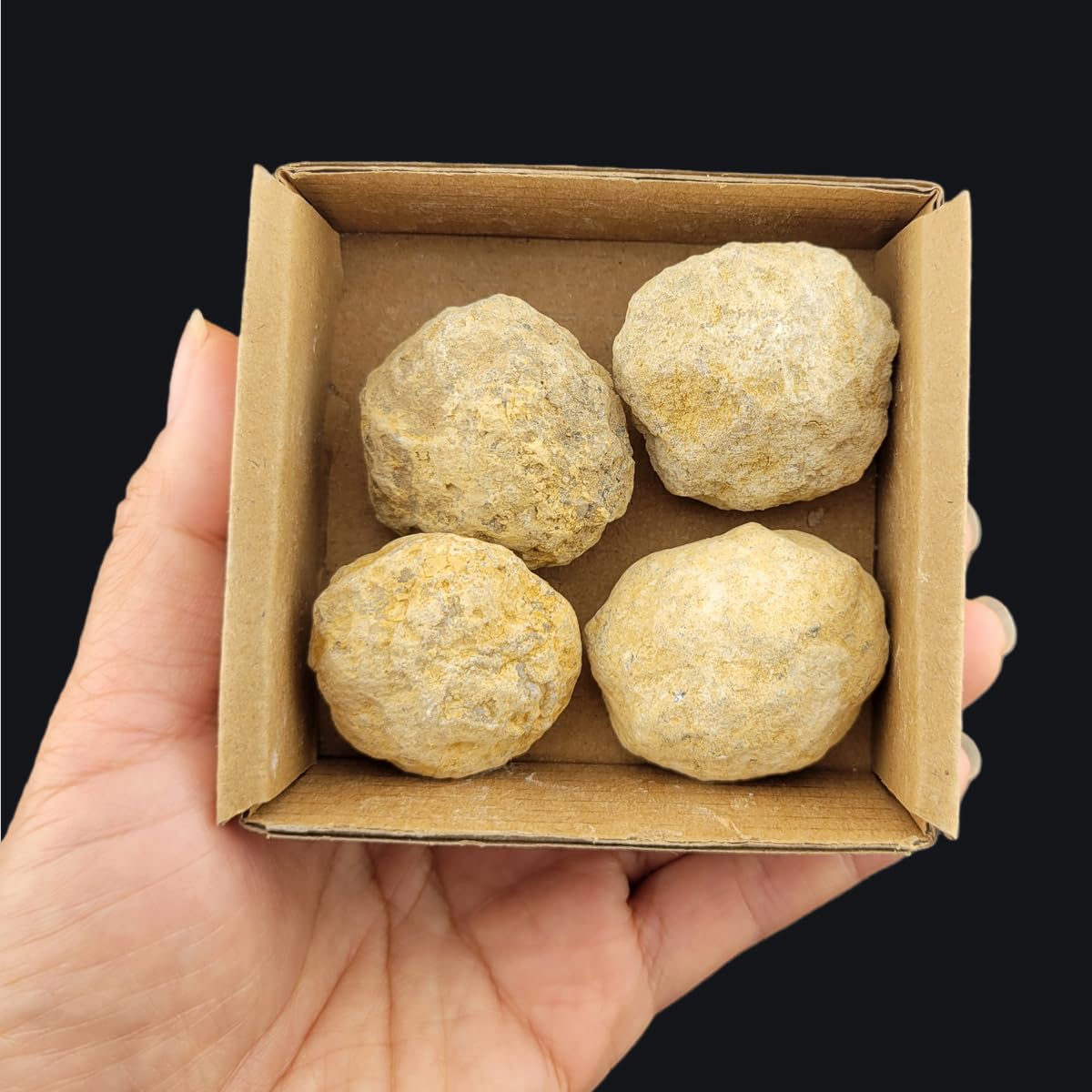 3-5Pcs Mini Geodes 0.8''-1.2''Natural Raw Crystals Rough Stones Rocks for Tumbling Polishing Cabbing Gemstones Crystals and Healing Stones for Wicca Reiki,Fountian Rocks for Decorations (Geodes)