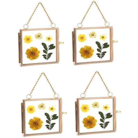 Typutomi 4PCS Mini Glass Frame for Pressed Flowers, Brass Wall Hanging Photo Frame Double Glass Frame DIY Vintage Artwork Display Frames Home Wall Decor(2.4x2.4 Inch)