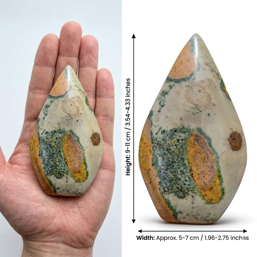 Crystal Healing Nature stromatolite Fossil Gemstone, 1.8 Billion Year Old Natural Algae Ancient Stone, Teardrop-Shaped Stromatolite Fossil for Zen Decor and Stress Relief Gift.