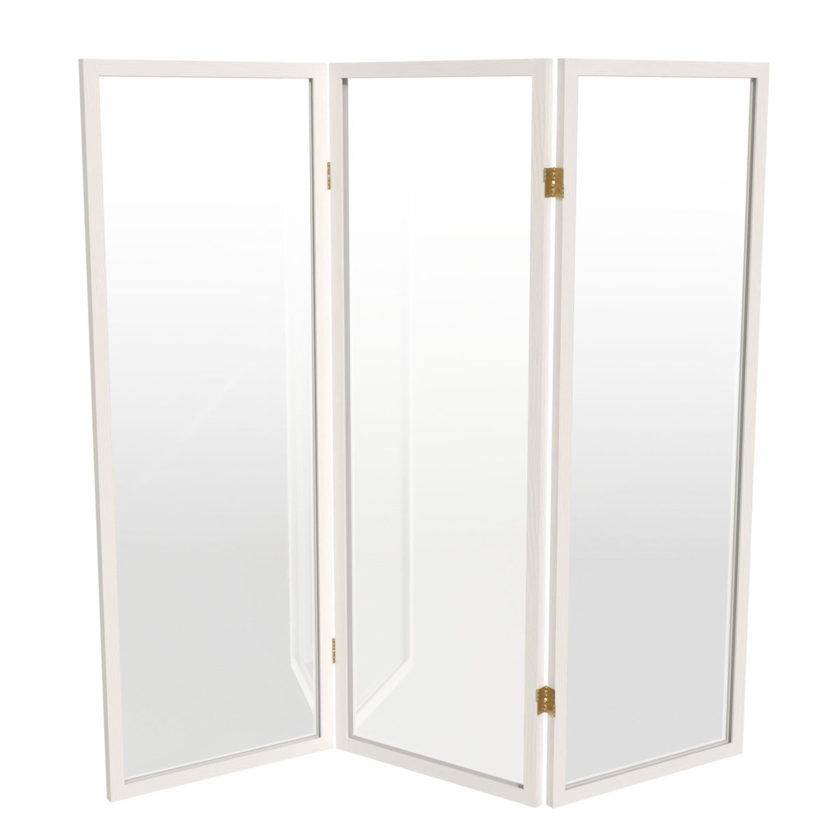 4 ft. Short Clear Plastic Partition White 3 Panel