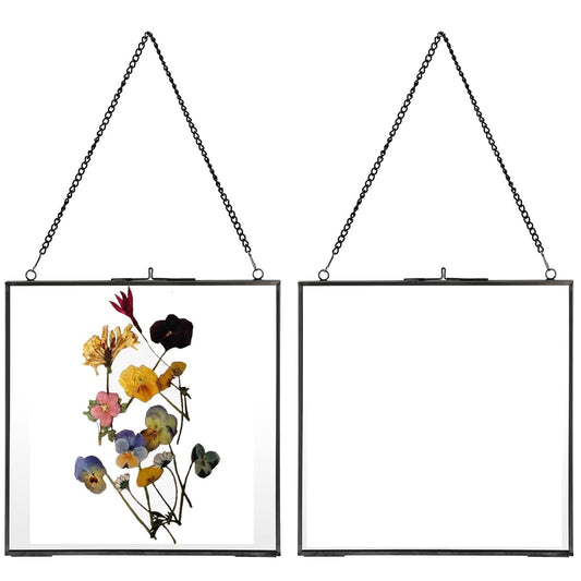 JUXYES 2 Pack Square Wall Hanging Brass Frames for Pressed Flowers, Double Glass Hanging Picture Artwork Display Frame, Black Floating Style Gallery Wall Frame for Picture, Poster, etc