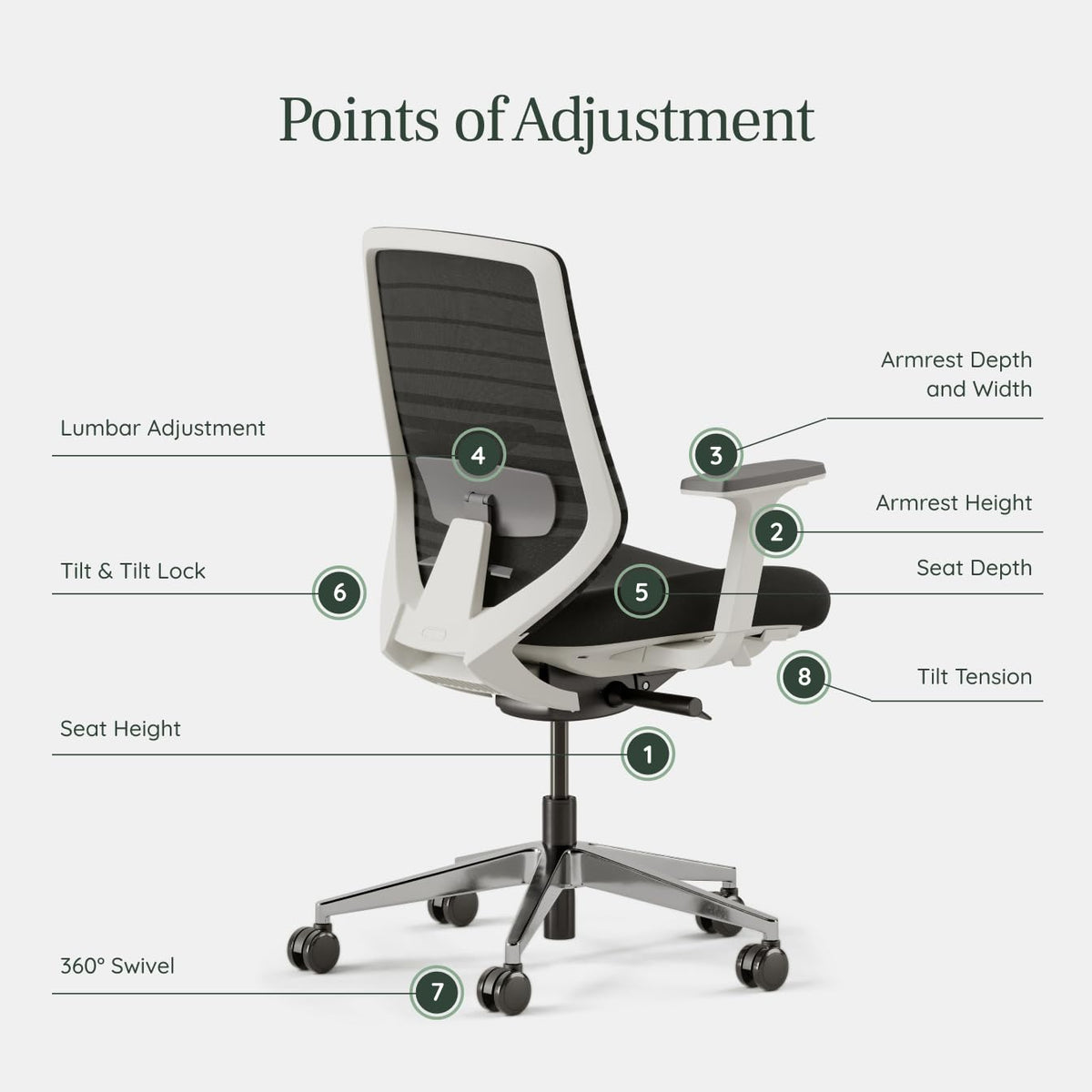 Branch Ergonomic Chair - A Versatile Desk Chair with Adjustable Lumbar Support, Breathable Mesh Backrest, and Smooth Wheels - Experience Optimal Comfort and Support - Black