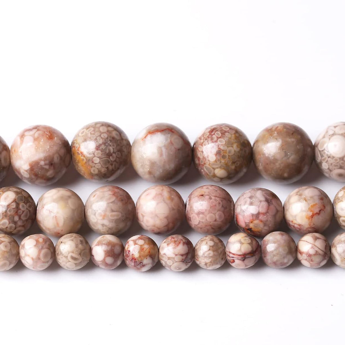 36PCS 10MM Natural Flowery Cowry Fossil Stone Beads Energy Healing Beads for DIY Jewelry Bracelet Necklace Making for Jewelry Making15Inch