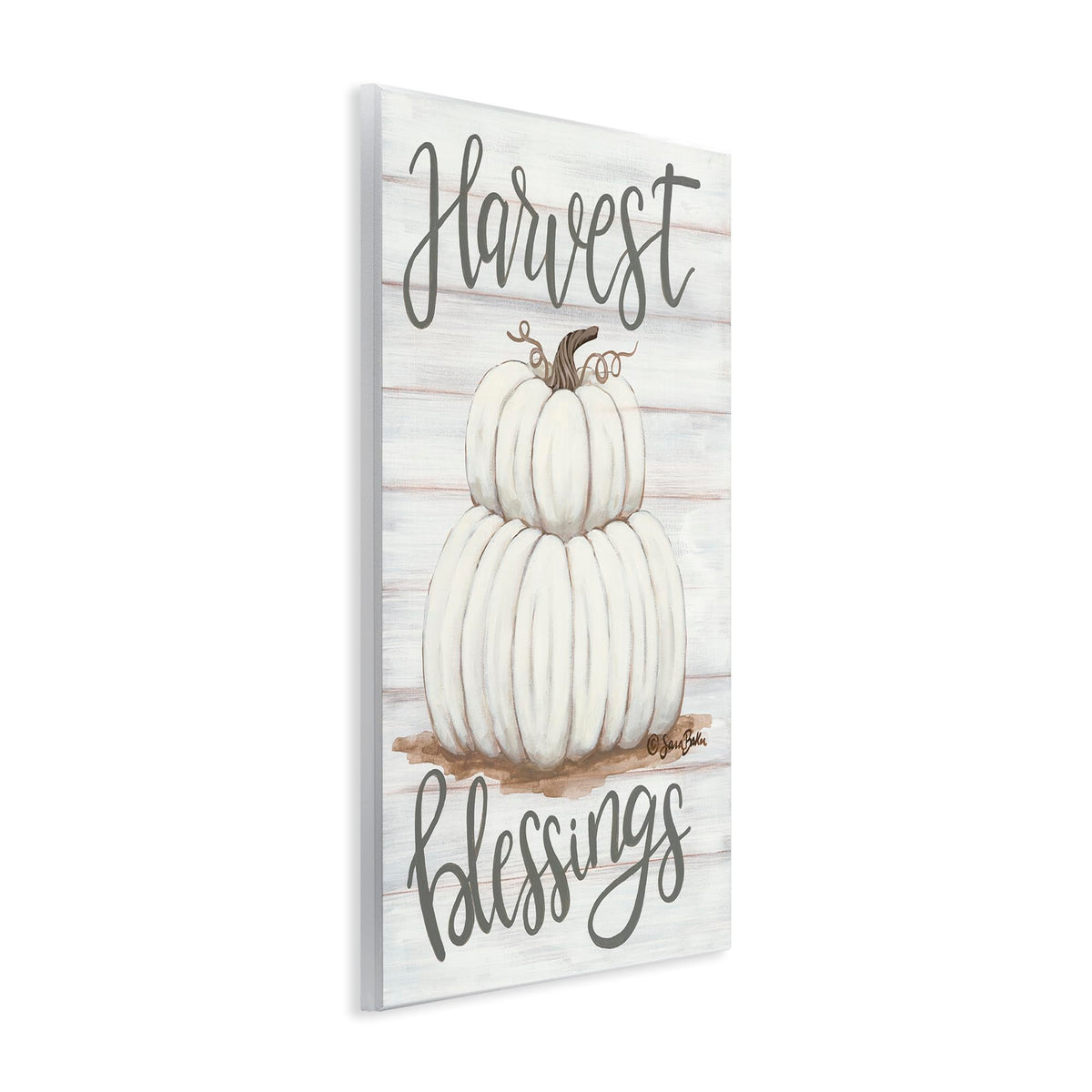 Stupell Industries 'Harvest Belssings White Pumpkins', Wall Plaque Art, 10 x 15 Inches, Easy to Hang and Sturdy, Made in USA, by Sara Baker