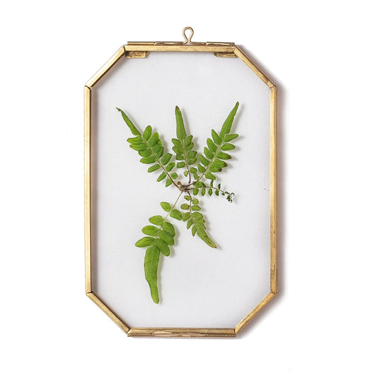 NCYP 4" x 6" Small Glass Floating Frame with Chain for Artwork Photo, Picture, Pressed Dried Flowers, Plant Specimen - Home Wall Hanging Decor, Octagon, Gold, Handmade (Glass Frame Only)