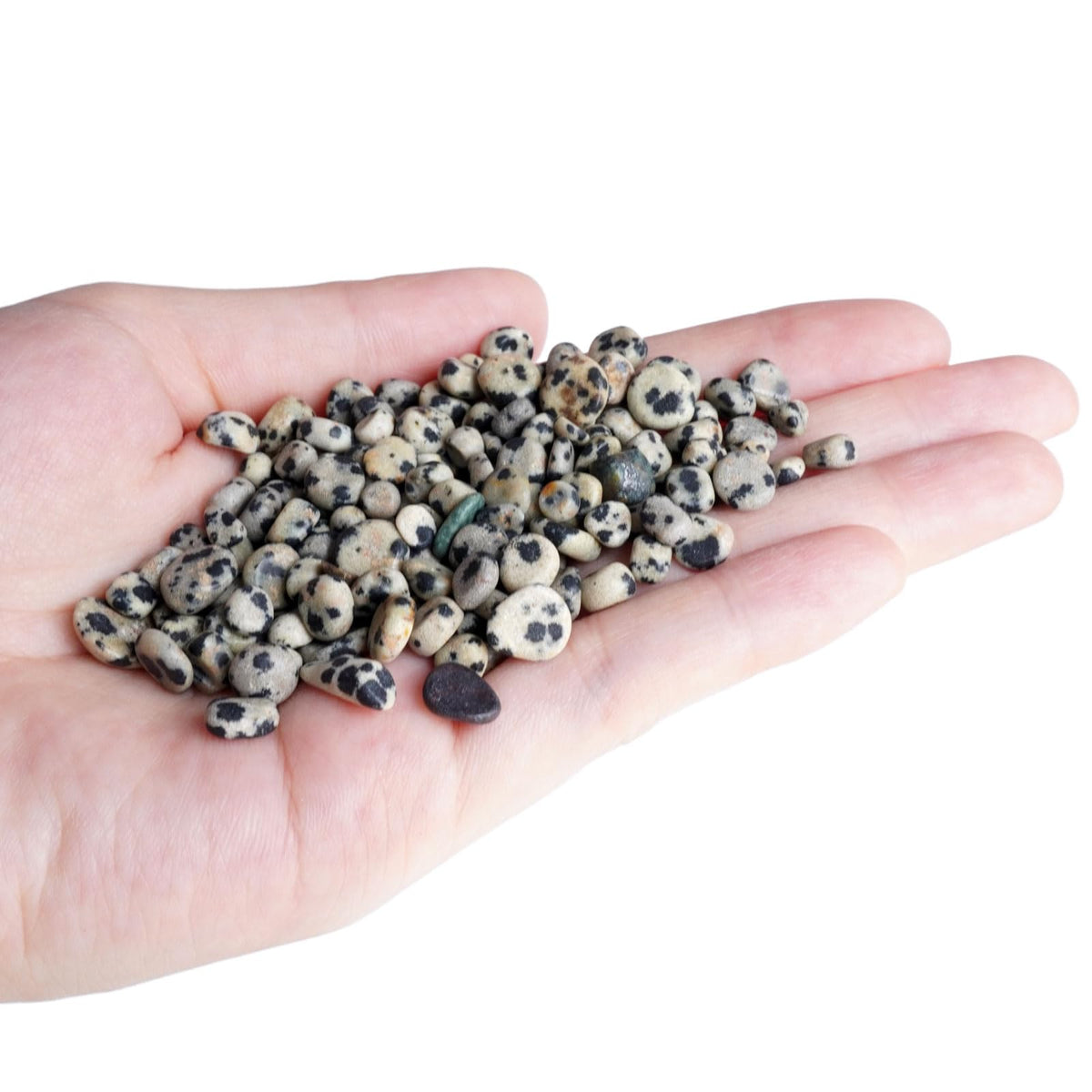Sisamn 3Lb Dalmatian Jasper Tumbled Polished Pebbles Small 5mm-8mm Natural Spotted Stones for Jewelry Making, Crafts, Home Decor, Crystal Grids, Positive Energy Gifts Bulk Stones