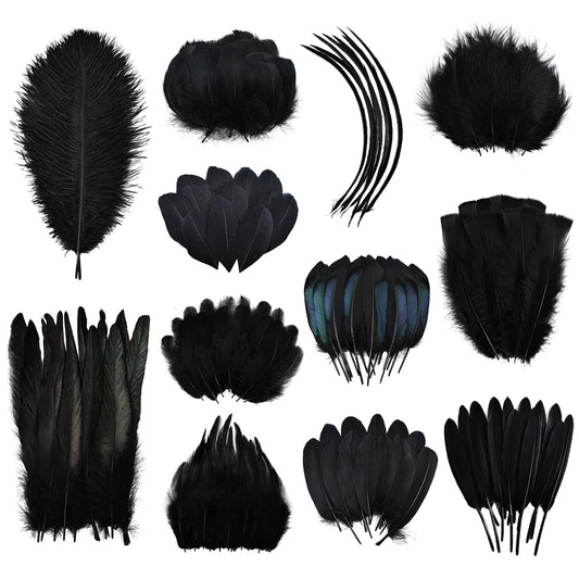 Daieeparty Black Craft Feathers Bulk-360pcs 12 Style Mixed Natural Feathers for Wedding Home,Dream Catcher Supplies and DIY Crafts (Black)