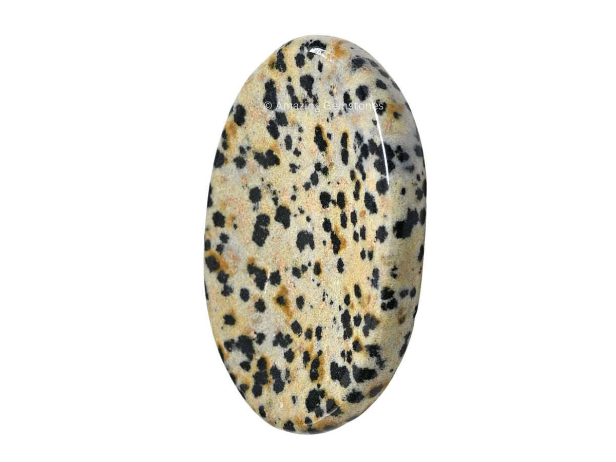 Amazing Gemstone Dalmatian Jasper Worry Stone, Healing Crystals - Piedra Crystal Fidget for Gift, Meditation, Calming, Relaxation, Stress Relief
