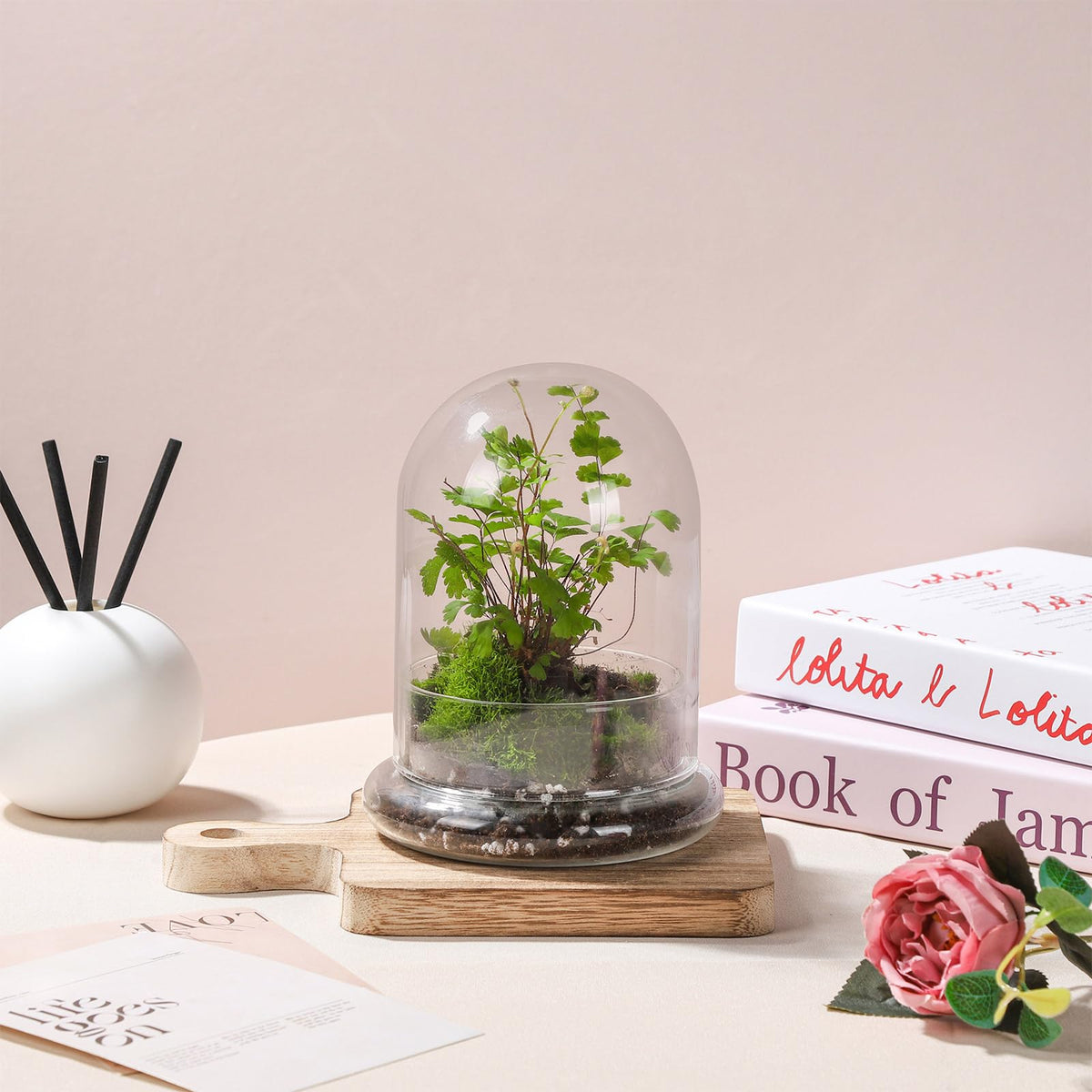 WHJY 6 inches Glass Cloche for Indoor Plants Small Terrarium Glass Cloche with Base Mini Cloche Dome with Base for Display Home Decor