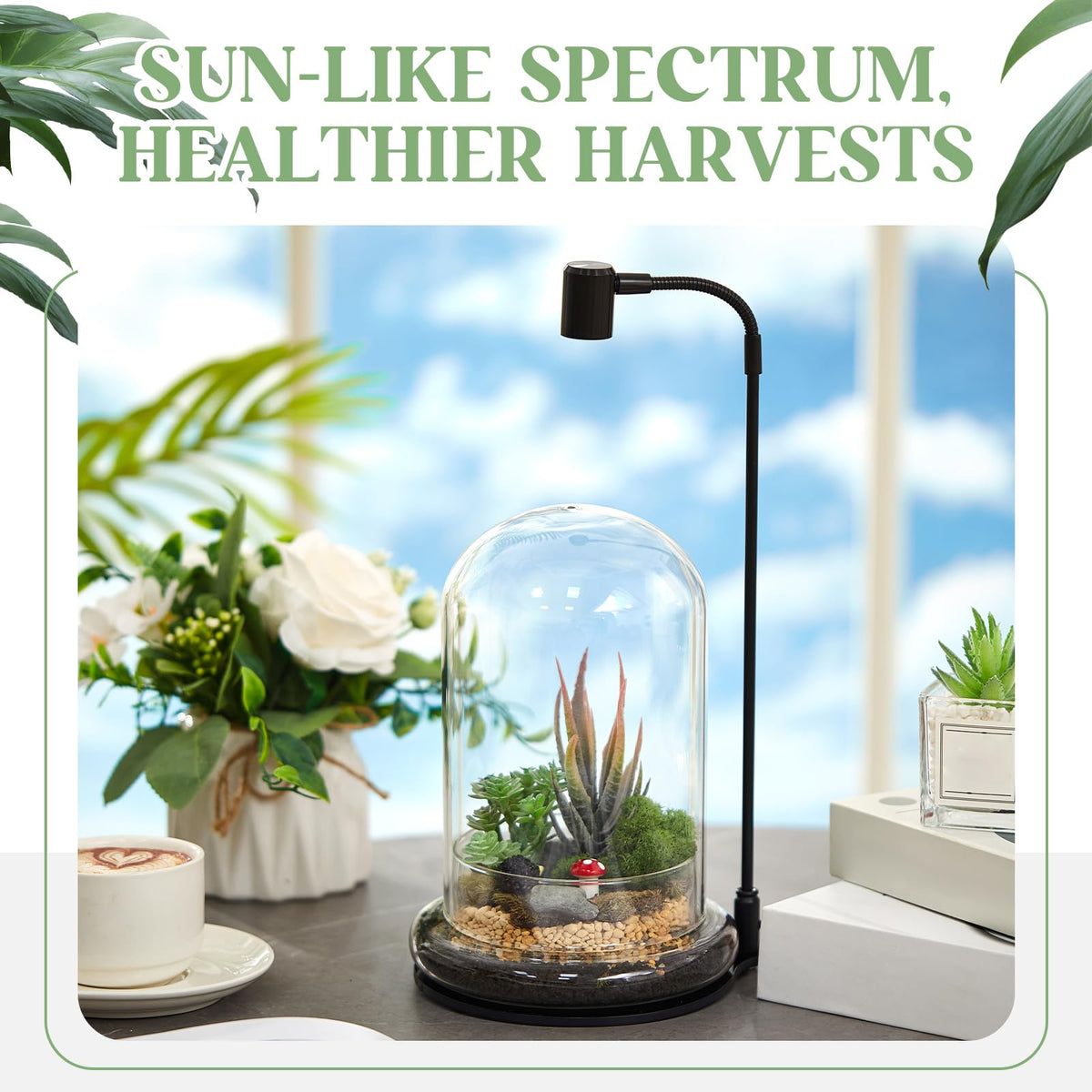 Maxdot Plant Terrarium Kit with Grow Light, 4.8'' x 7.87'' Glass Dome Terrarium with Air Hole and Base, Succulent Air Planter Fern Moss Micro Landscape Vase for Home Office Tabletop Decoration
