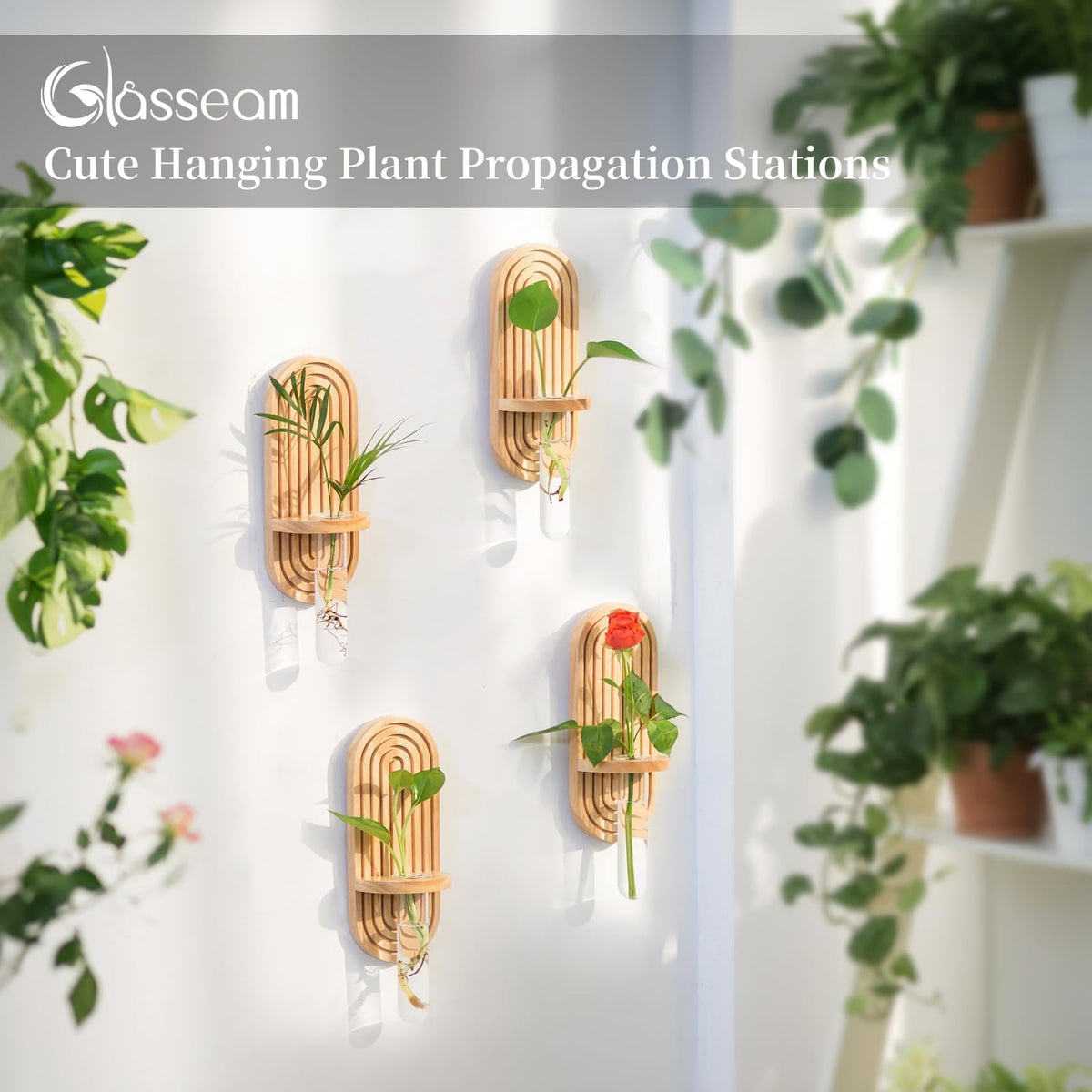 Glasseam Propagtion Stations for Wall Decor: 4pcs Boho Hanging Glass Propagation Vases for Plants and Flowers - Indoor Wood Wall Planter with Test Tube for Living Room Entryway Office Home Decor