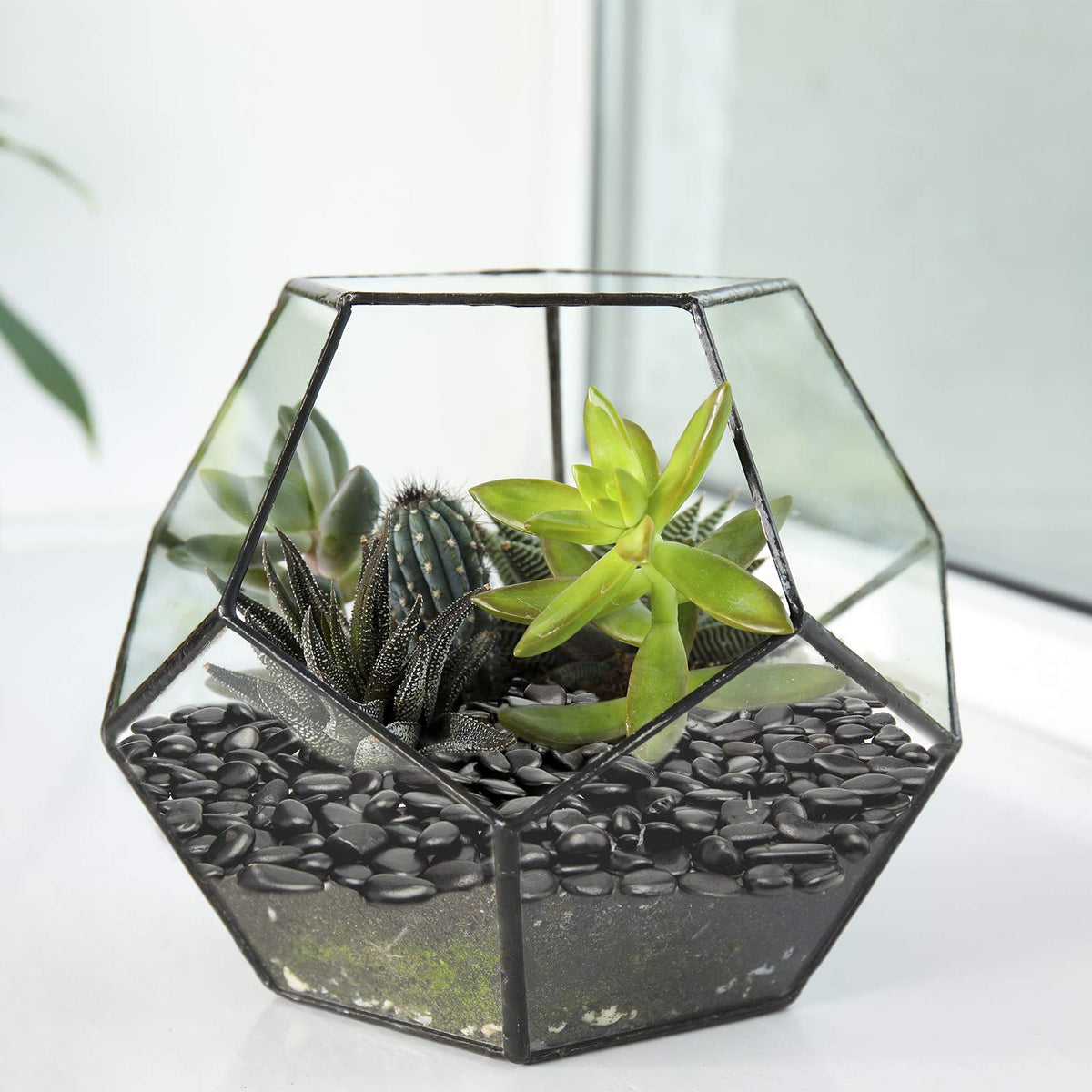 Black Small Pebbles - Decorative Gravel Rock Plant Stones,3/8" Natural Polished Stones Succulent Gravel,Pebbles Gravel for Bamboo Plants,Succulent,Home Decor,Landscaping,Vase Fillers.