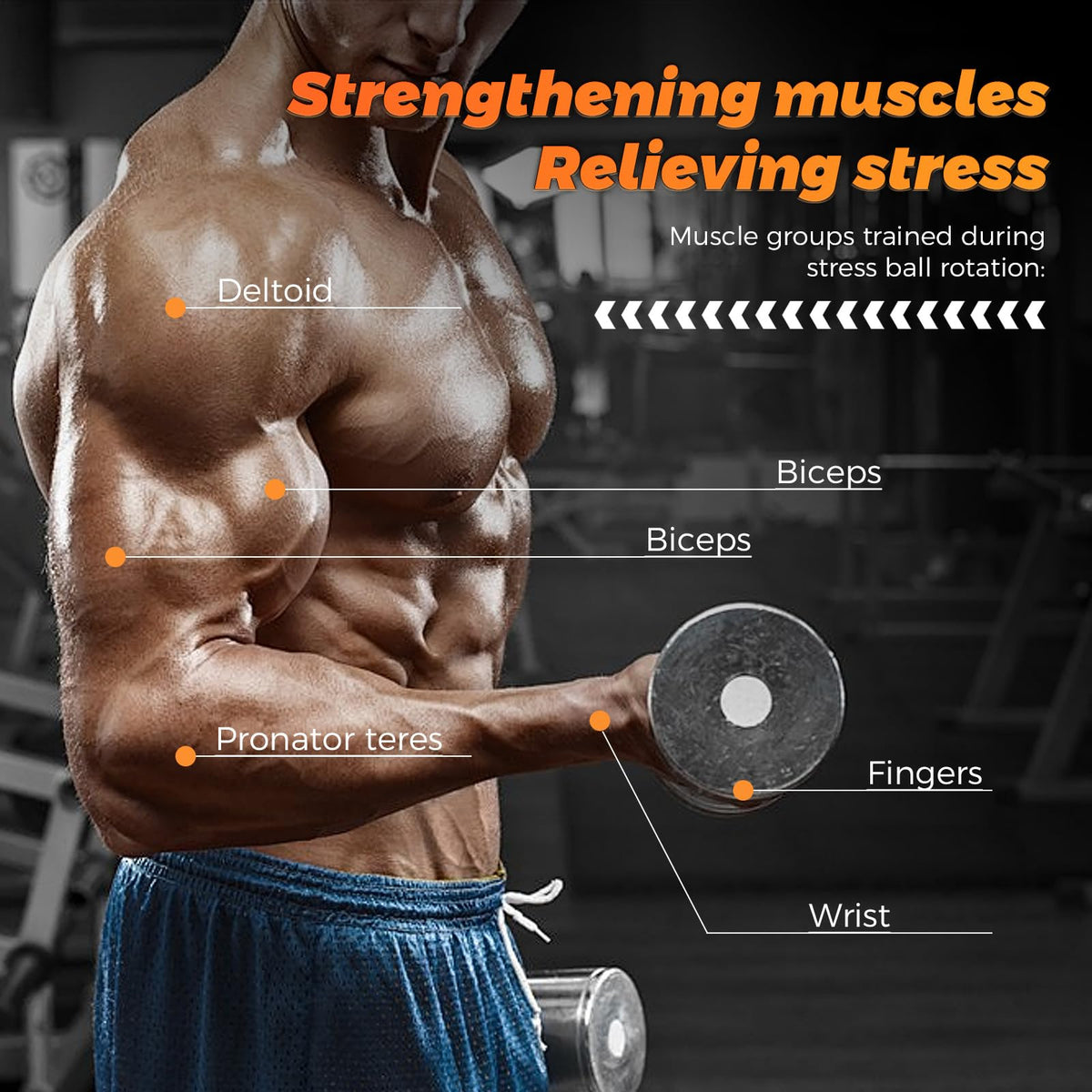 BeSokar Auto-Start Gyro Ball Wrist & Forearm Trainer, 5-Level Adjustable Resistance with LED Light Control, Transparent Gyroscopic Exerciser for Arm, Finger & Wrist Strength
