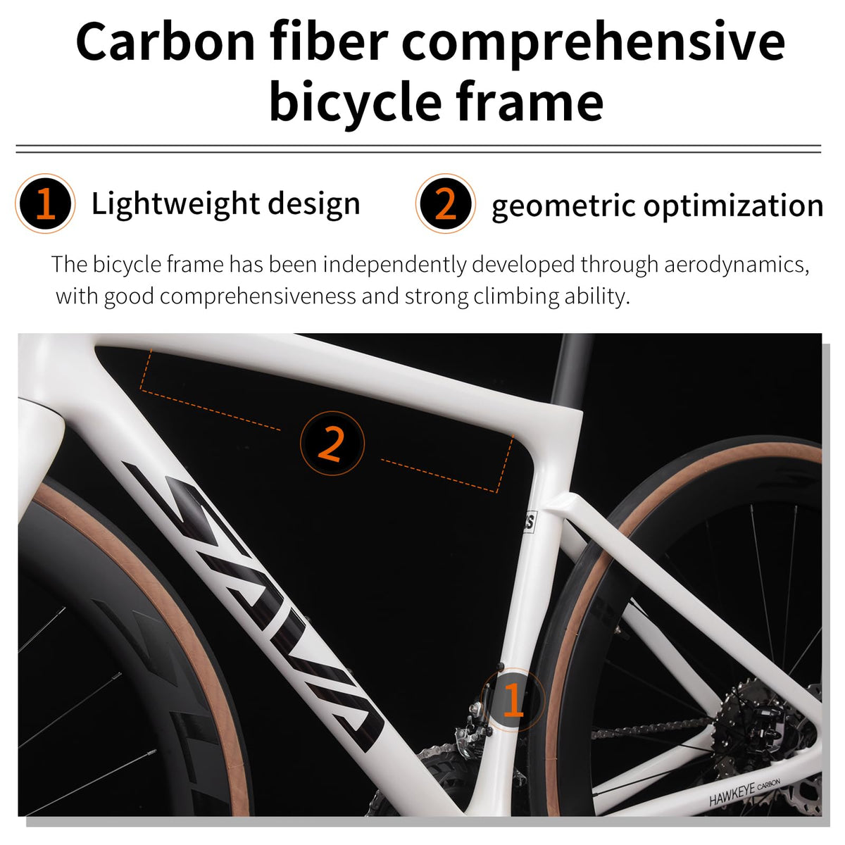 SAVADECK Carbon Road Bike,Lightweight Full Carbon Racing Bicycle with Shimano R7120 24S Shift Groupset and Hydraulic Oil Disc Brake Bike