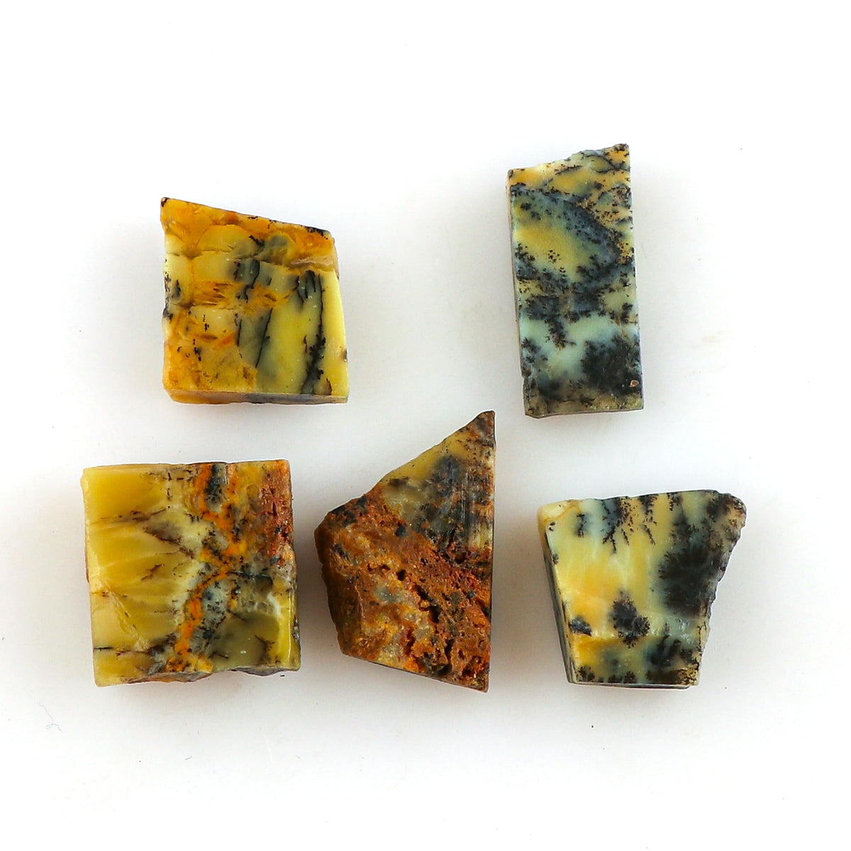 CRYSTALINES 5pcs Wholesale Natural Raw Dendrite Agate Gemstone, Untreated Rough Stone, Bulk Loose Supplies, DIY Crafts, Jewelry Making, Chakra Healing Crystals, Wire Wrap, Gem Collection, AAA Grade