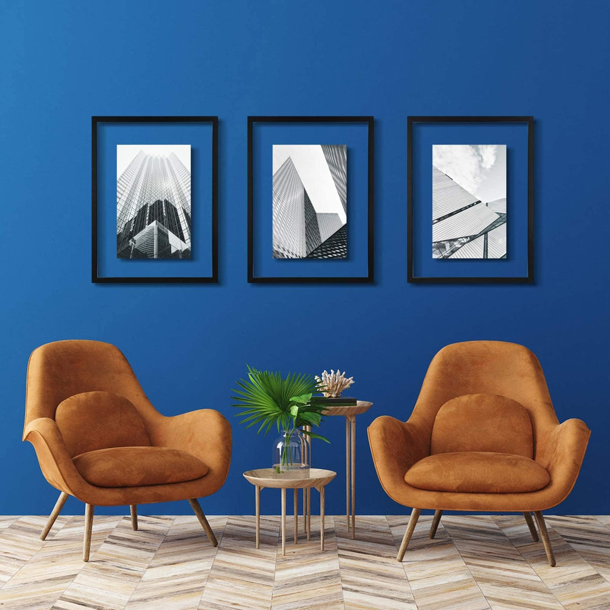 ONE WALL 18x24 Inch Floating Frame, Black Wood Double Glass Float Picture Frame Display 11x14/11x17/12x18/13x19/16x20 Photos Plant or Petal Specimens for Wall Hanging - Mounting Kit Included