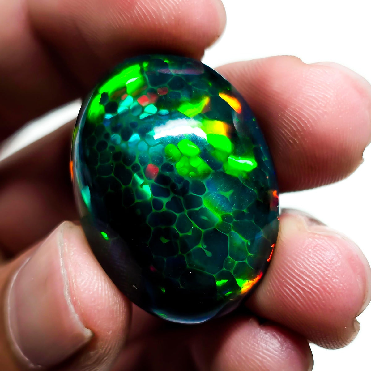 24 Carat Honeycomb Black Ethiopian Opal Cabochon Gemstone
