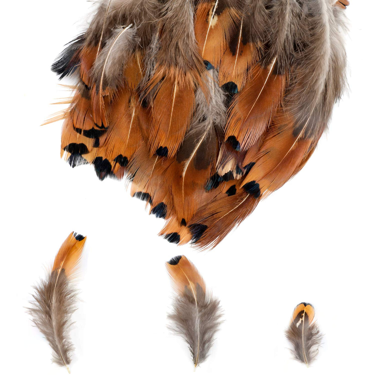 MWOOT 300PCS Spotted Chicken Feathers Natural Pheasant Plumage Feathers for DIY Crafts, Clothing, Jewelry, Wedding, Birthday Party, Dream Catcher Decoration