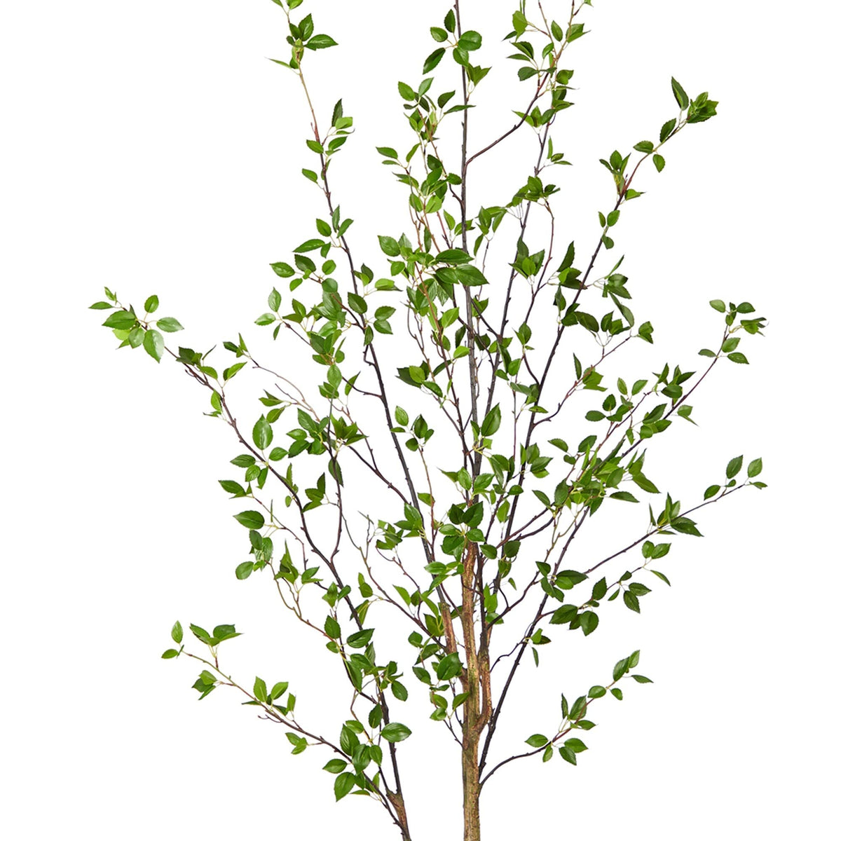 Generic 6.5' Minimalist Citrus Artificial Tree 6.5 Black