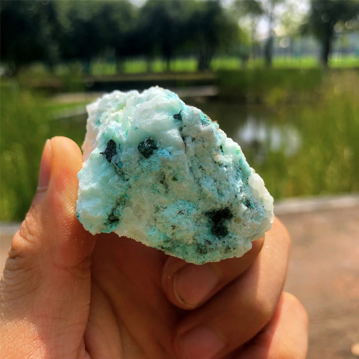 Zenkeeper 1Lb Large Rough Chrysocolla Crystal Bulk Raw Phoenix Stone Natural Crystal Chunks Crystals Healing Stones