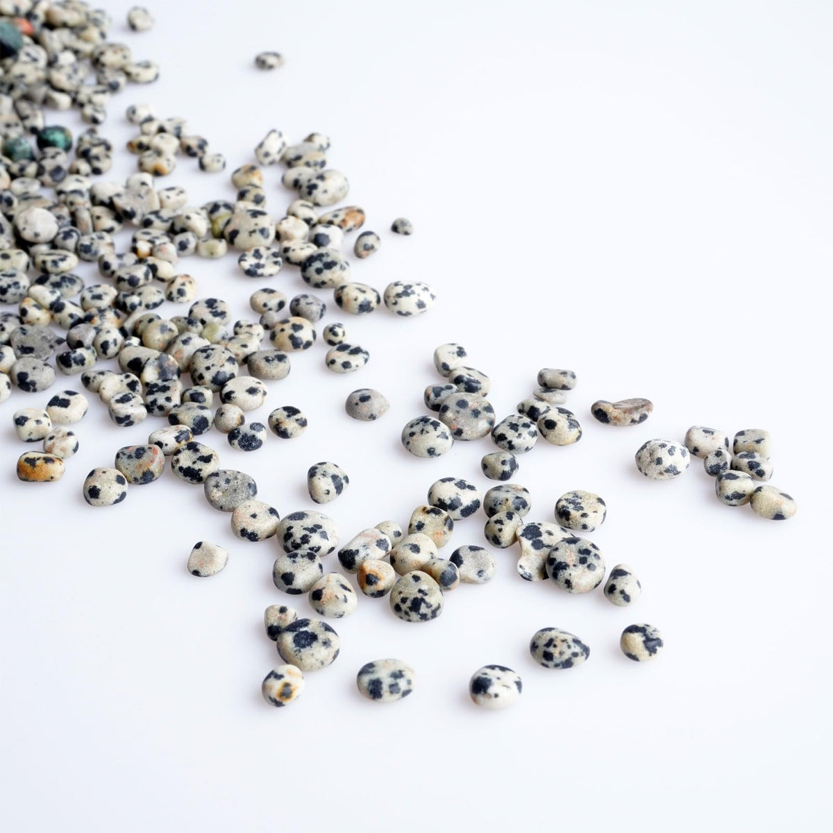 Sisamn 3Lb Dalmatian Jasper Tumbled Polished Pebbles Small 5mm-8mm Natural Spotted Stones for Jewelry Making, Crafts, Home Decor, Crystal Grids, Positive Energy Gifts Bulk Stones