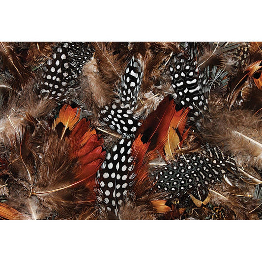 Creativity Street Natural Feathers