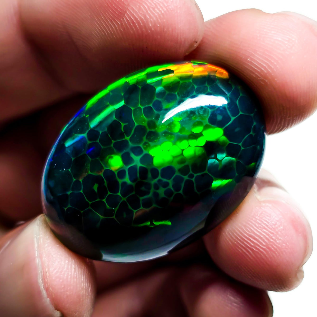 24 Carat Honeycomb Black Ethiopian Opal Cabochon Gemstone