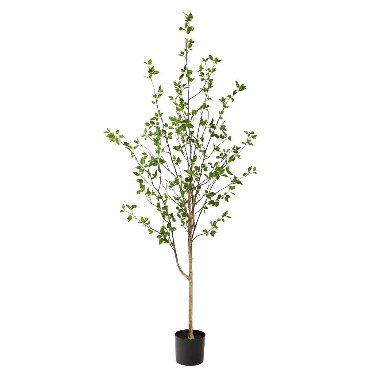 Generic 6.5' Minimalist Citrus Artificial Tree 6.5 Black