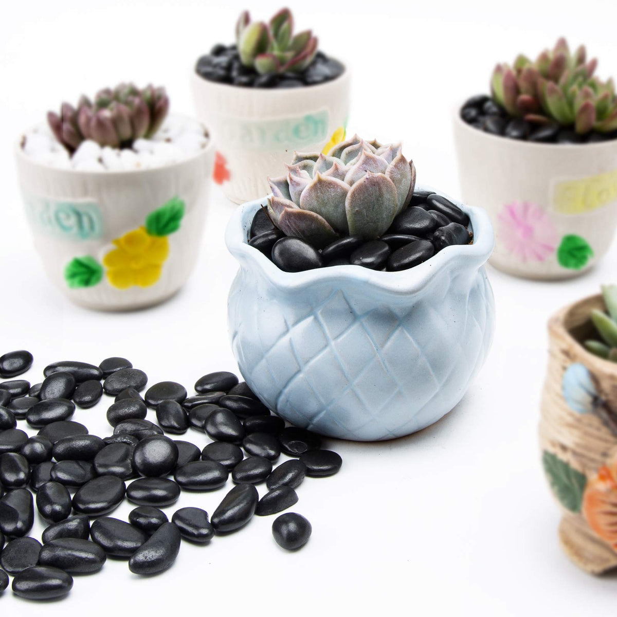 Black Small Pebbles - Decorative Gravel Rock Plant Stones,3/8" Natural Polished Stones Succulent Gravel,Pebbles Gravel for Bamboo Plants,Succulent,Home Decor,Landscaping,Vase Fillers.