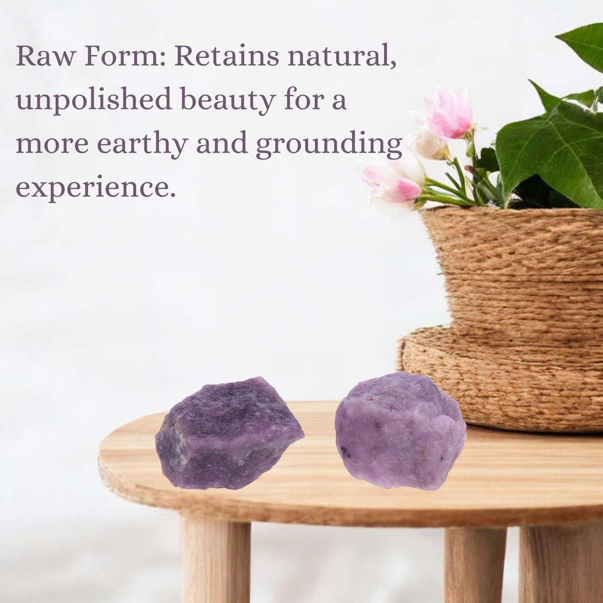 ANAYA AGATE Lepidolite 2 Pcs Raw Crystals Rough Gemstones w/Authenticity Card, Velvet Pouch - Large 1.25–2.0" Raw Stones for Tumbling, Cabbing, Polishing, Cutting Natural Healing Crystals for Home Decor, DIY Stones