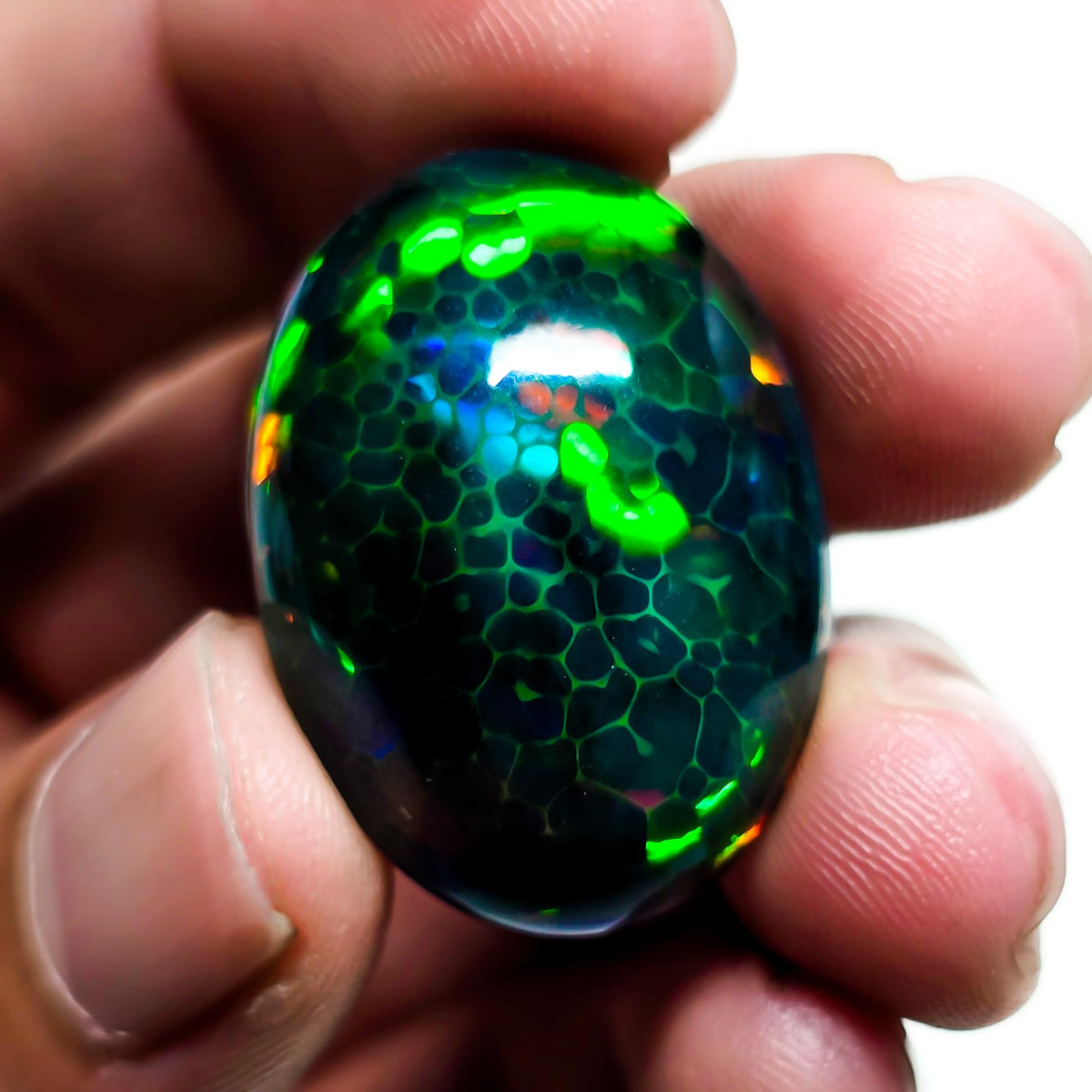 24 Carat Honeycomb Black Ethiopian Opal Cabochon Gemstone