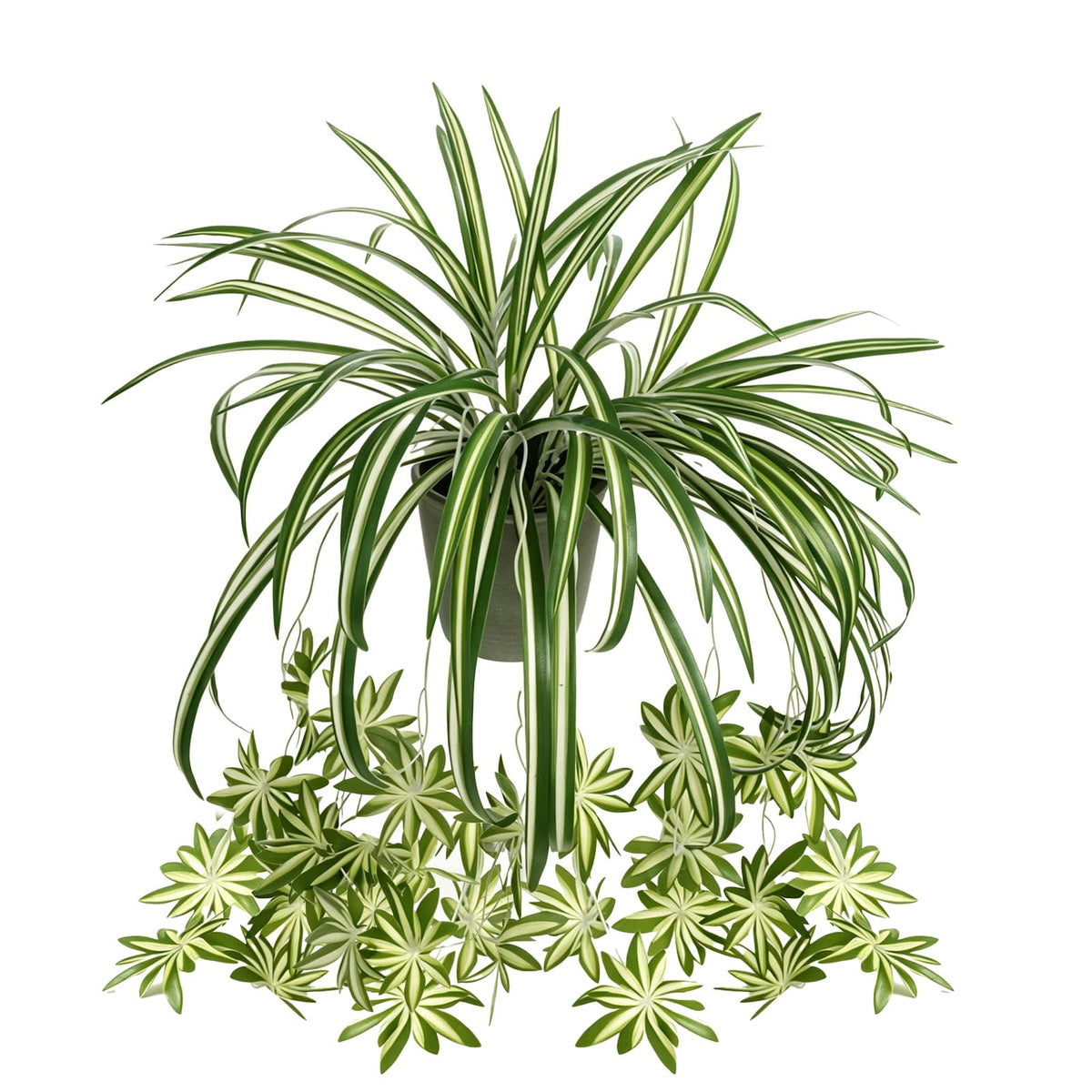 Zelphvt 2 Packs Artificial Spider Plant, 24 Inch Fake Hanging Greenery Plant UV Resistant Faux Chlorophytum Comosum Silk Spider Plants for Indoor Outdoor Home Garden Office Decor (Pot Not Included)