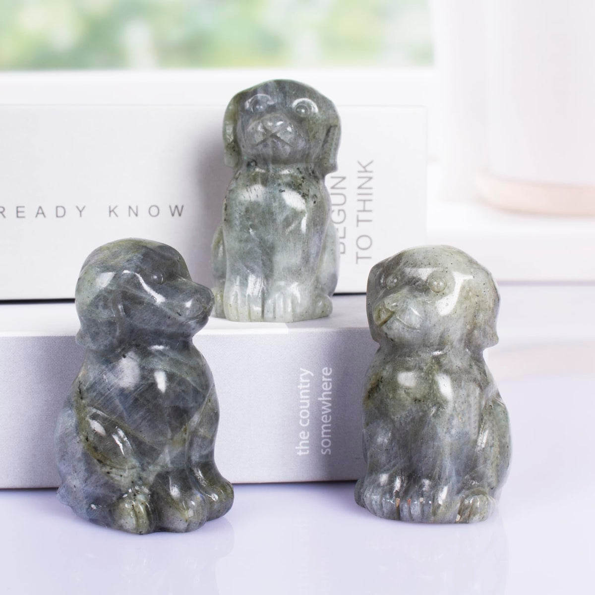 Ytbeoxk Hand-Carved Natural Labradorite Crystal Dog Sculpture for Spiritual Healing Energy Stone,Feng Shui Wealth Protection Figurine, Home,Office Desk Decor,Unique Gift for Pet Lovers,Birthday.
